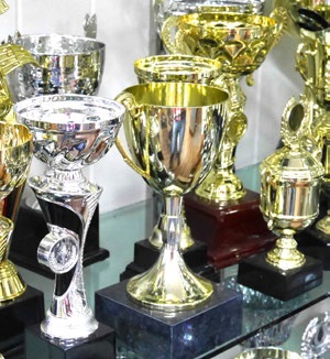 Trophy Cups Ipswich